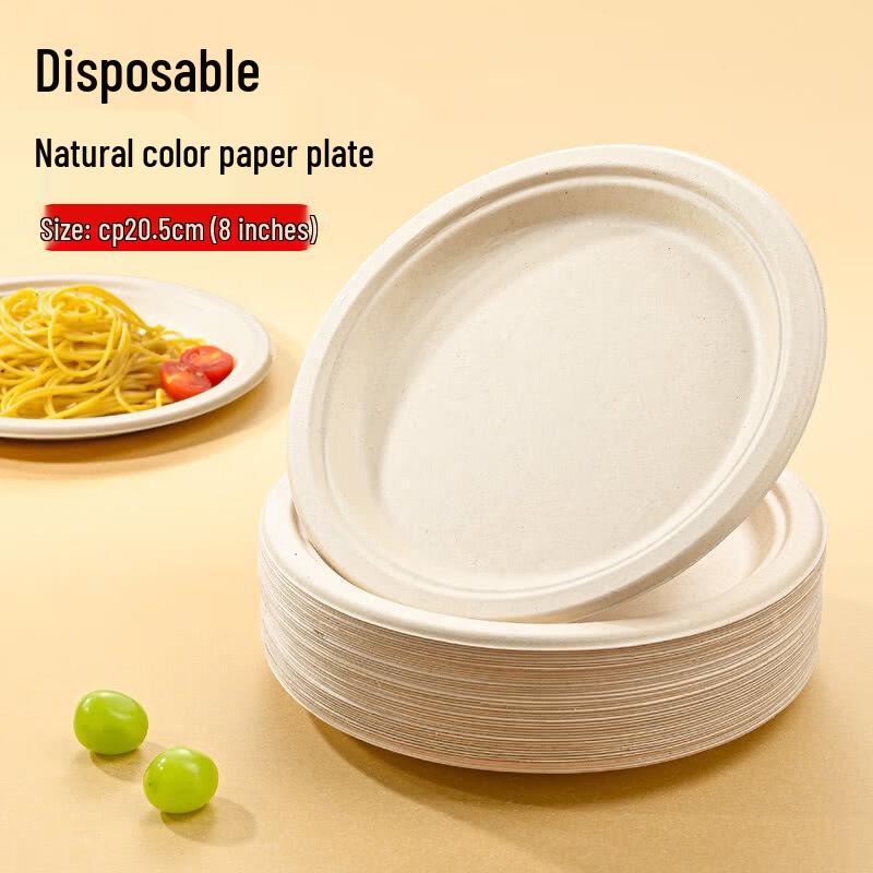 Disposable Sugarcane Pulp Paper Plates