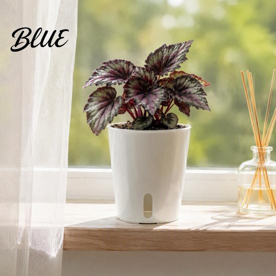 Mini Planters for Alocasia Corms Self Watering Plant Pots Indoor Plants Small with Water Level Indicator Clear Flower Windowsill Inner Cup Drainage