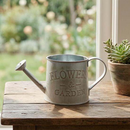 Vintage Metal Watering Can Distressed Watering Can with Long Spout Small Watering Pot for Indoor Outdoor Gardening