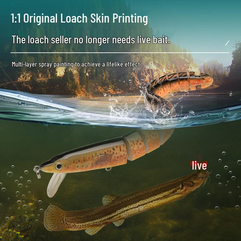 Aspius Long-Cast Marine Fishing Simulation Bait - Large, Slow-Sinking, Fake Lure for Sea Fishing