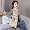 Autumn and Winter Waterproof Leave-in Vest Women's Korean Version Trendy Down Cotton Women's Vest