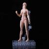 Action Figure Male Femalew Body Dolls Joints Movable 1/18 Scale Model Doll  Body Girl Toys
