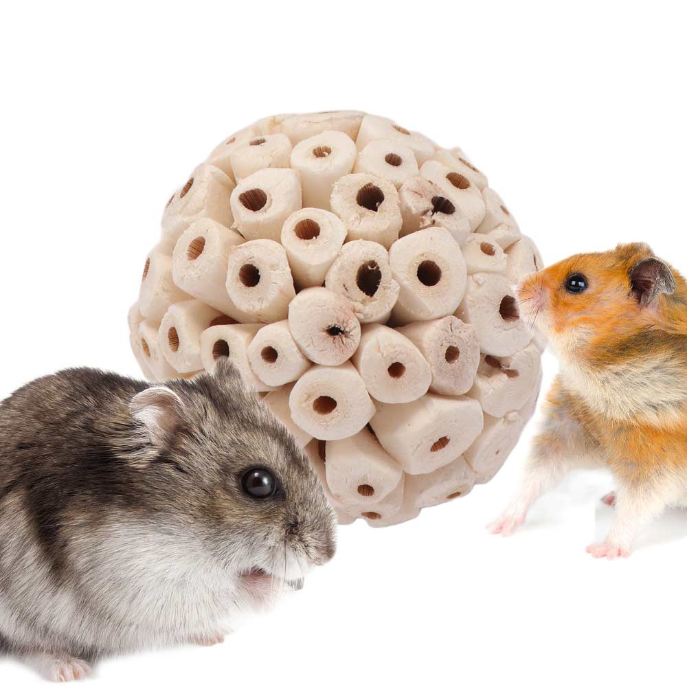 Natural Harmless Parrot Budgies Chew Tooth Grinding Bird Toy Interactive Toy Grinding Toy Sola Ball