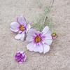 77CM Length Artificial Cosmos Flower Branch Elegant Design Fake Flowers  Photography Background
