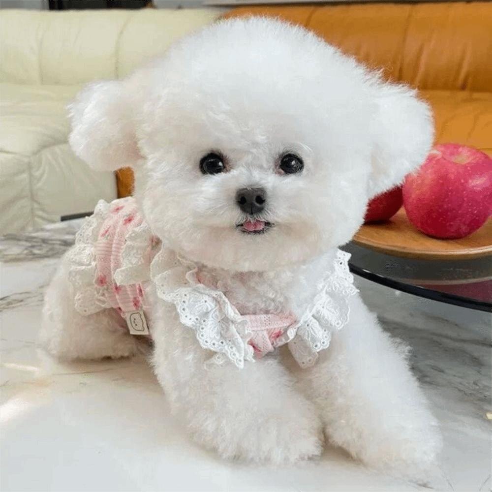 Lace Trimmed Floral Dog Dress Cute Puppy Clothes Sweet Pet Camisole Vest  Home Use