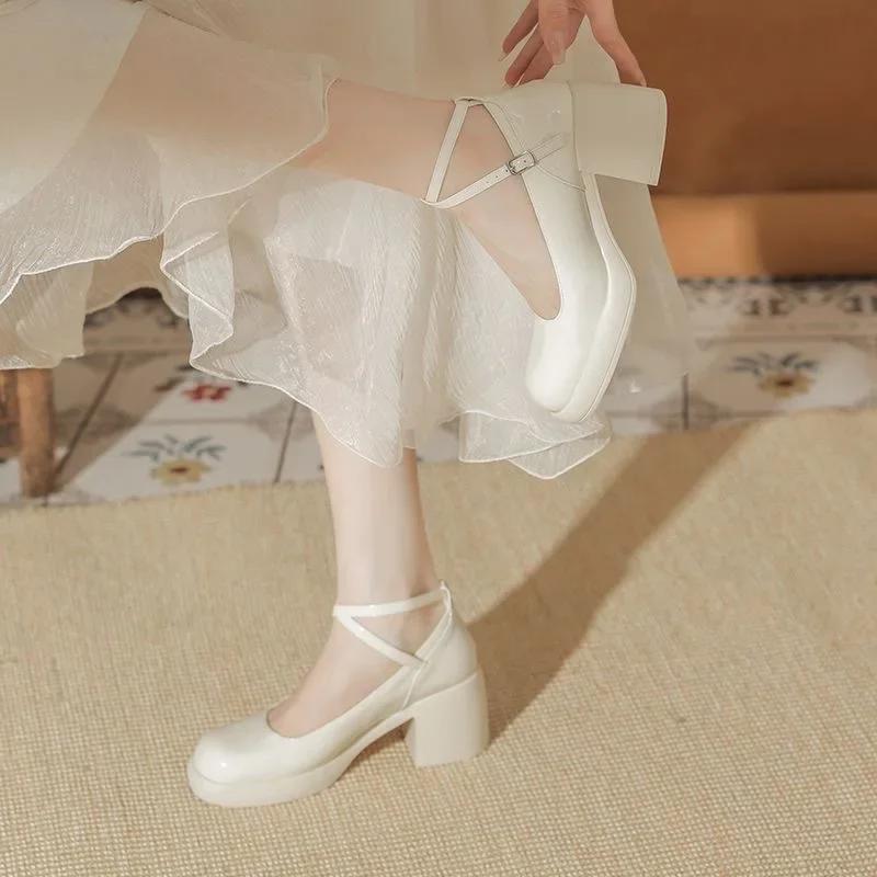 Fashion French Mary Jane Women's Shoes Chunky Heel High Heels Retro Buckle Elegant Single Shoes Spring Autumn Versatile Round Toe
