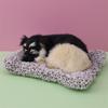 Simulated Kitten Meow Bamboo Charcoal Deodorizing Plush Cushion for Car & Home Decoration
