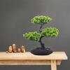 Artificial Potted Greeting Pine Lifelike for Kitchen Dining Room Lightweight Light Green Artificial Cedar Tree Bonsai Indoor Far