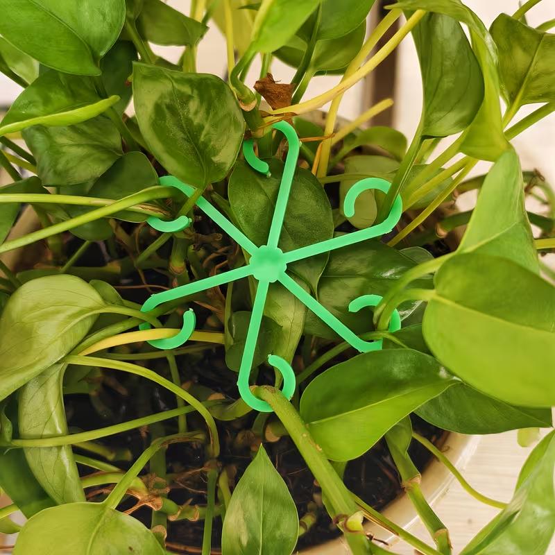 4Pcs Plant Stem Support Clips Flower Stem Gathering Frame Support Fixer Anti-Toppling Hydroponic Branch Fixing Pot Rack Garden Supplies