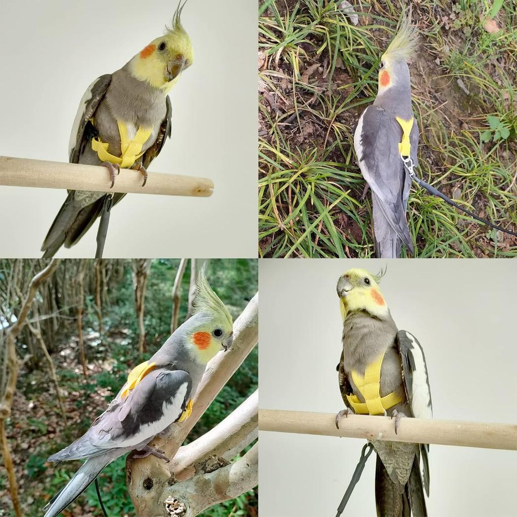 Bird Harness with Buckle Clip and a Leash, Easy to Wear for Bird Parrots Cockatiel S Size Weight 85-105 Grams, Yellow