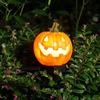 Solar LED Pumpkin Lights Resin Craft Outdoor Landscape Lawn Decor for Halloween Garden Pathway & Yard Festive Decoration Lamps