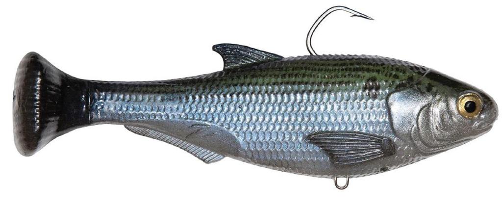 Zman Soft Lure Shadtron LT Swimbait 6 Inch Mossback (0615)