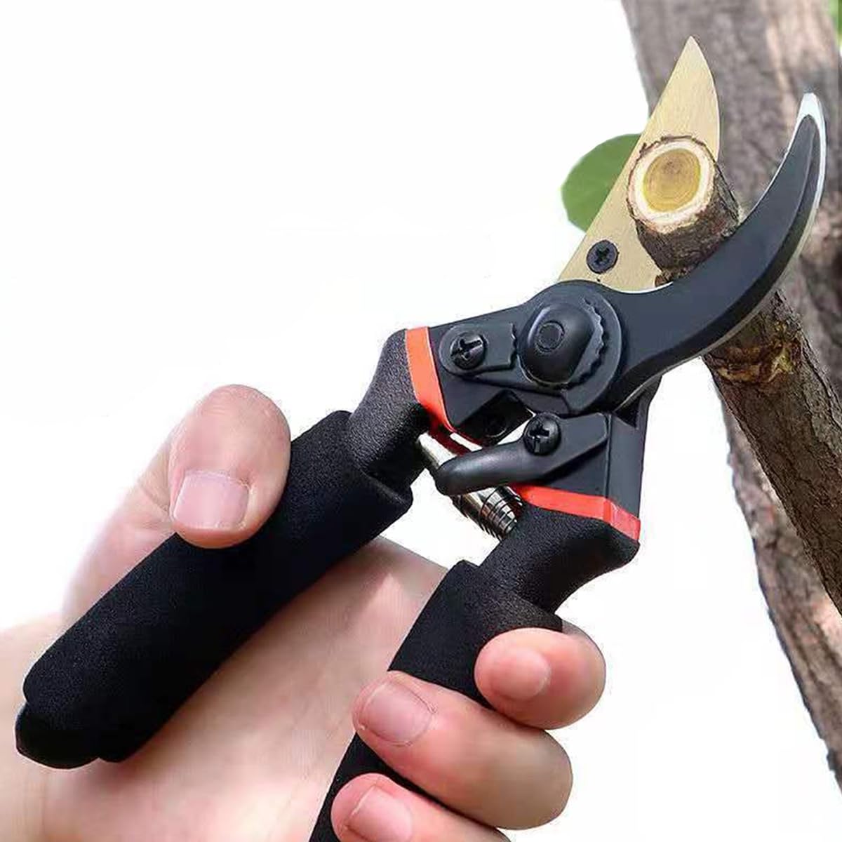 

Pruning pruning flower pruning pruning gardening pruning pruning garden flower garden garden garden gardening landscaping supplies shears, spring, чёрный