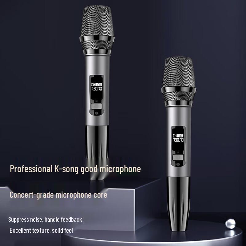 Suoai 8-inch Wooden High-Power Outdoor Portable Karaoke System