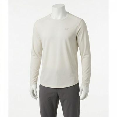 Arcteryx Men Asr Co Mock Crew Neck Ls 811134