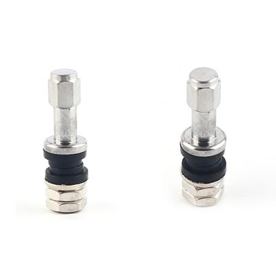 4Pcs Universal Car Tire Valve Tr43E/Tr48E Bolt-In Car Tubeless Wheel Tire Valve
