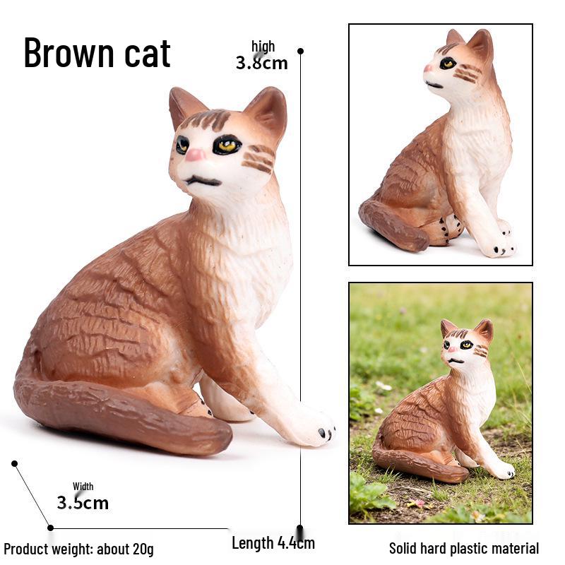 Solid Orange Persian, Ragdoll, Somali, and Blue Short-haired Cat Simulation Models