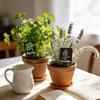 12 stuks Acryl Tuinkruidenborden, Kruidentuin Plantenetiketten Markers voor Buiten Labels Borden met Gedrukte Naam Tuinen Planten Potplanten
