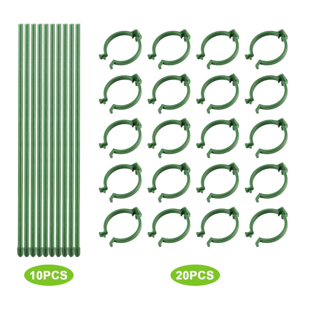 Plant Stakes 40cm/15.7in Collapse Prevention Garden Plant Stem Support Stakes for Orchids Tomatoes