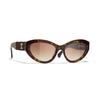 CHANEL Temple Logo Acetate Irregular Sunglasses Men's Tortoiseshell