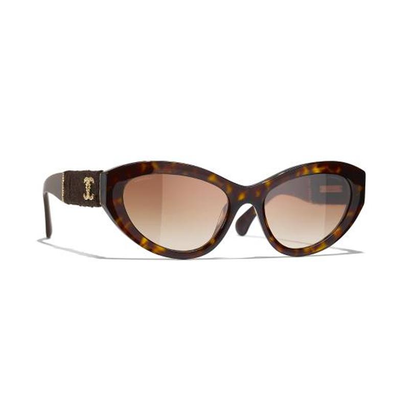 CHANEL Temple Logo Acetate Irregular Sunglasses Men's Tortoiseshell