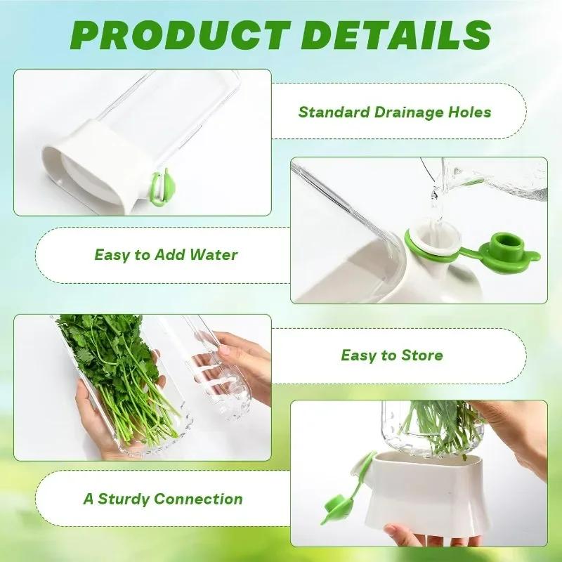 Saving Cilantro Container  - Clear Herb Saver for Cilantro, Mint & Asparagus - Herb Savor Bottle - Fresh Herb Storage