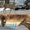 Lot of 6 Anti-game Ultrasonic Whistles, Warning Devices for Cars and Vehicles, Deer Whistles