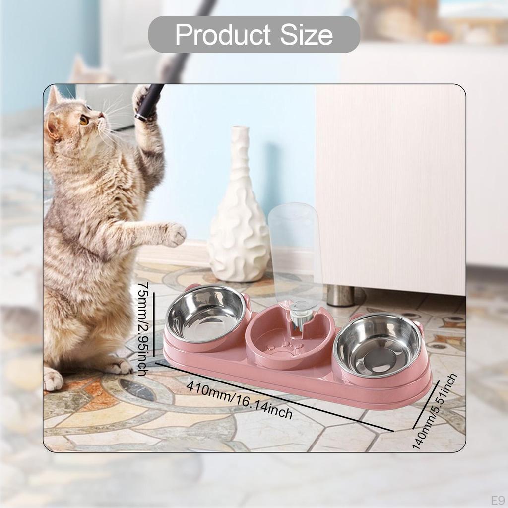 Bowl, Pet Food And Water Tilted At 15°, 3 In 1, for Wet Dry Food, Feeder Hamster, ,