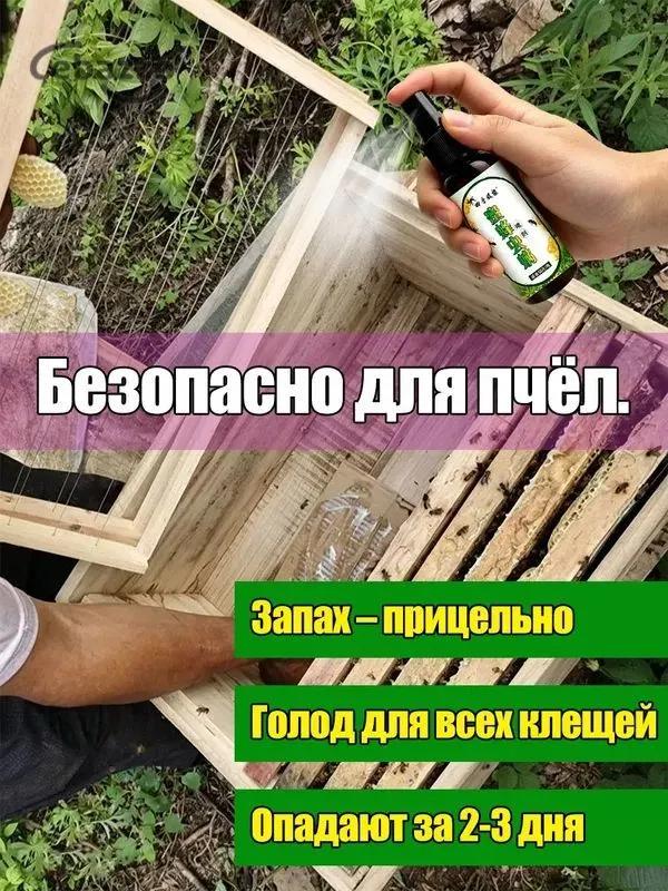 Bee Treatment Product