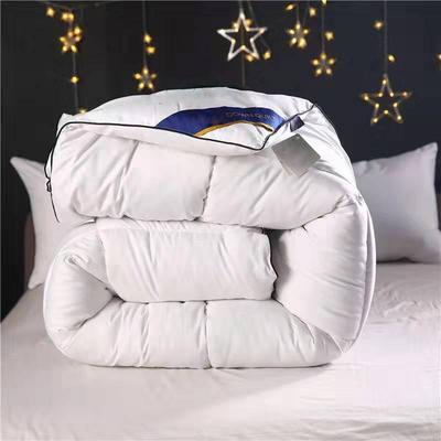 Feather Velvet Cotton Quilt - Thick Winter & Spring/Autumn Double Quilt with Silk Cotton, Perfect for Hotels and B&Bs