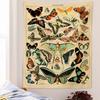 Vintage Butterfly Tapestry Natural History Wall Hanging for Bedroom Living Room Dorm Retro Aesthetic Home Decor