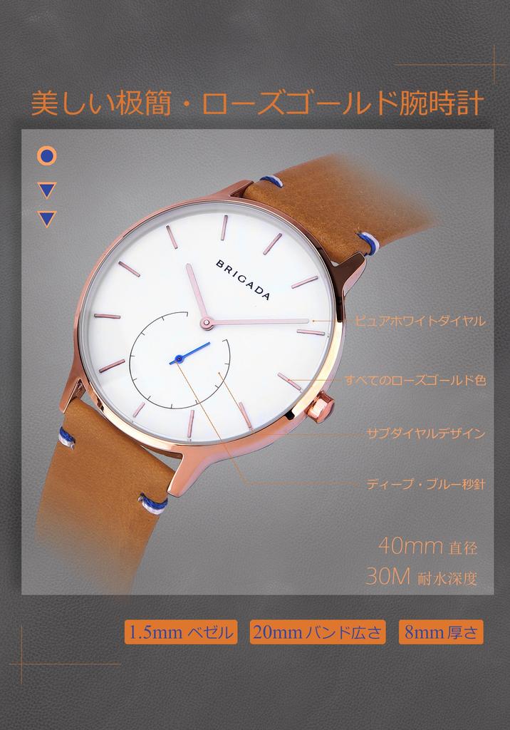 BRIGADA Swiss Brand Watch Popular Luxury Watch Men's (Barakin)