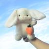 Cute White Long-Eared Rabbit Plush Toy - Perfect Birthday Gift for Girls