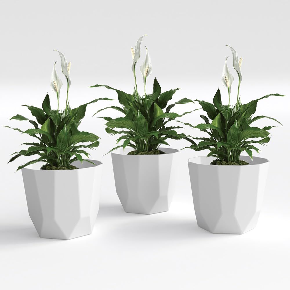 Hexa Plastic Flower Pot with Drainage Holes Round Planter Pot Suitable for Indoor Outdoor Kitchen Garden (White, 10 INCH - 3 Pcs)