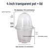 Durable PET Seedling Cups with Lids – Available in 3.5", 4", and 5" Sizes for Flower Pot and Nutrient Use