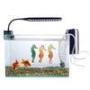 Aquarium Fluorescence Suction Cups Seahorse Ornament Glow in Dark Landscaping Silicone Seahorse Glowing Fish Tank Decors