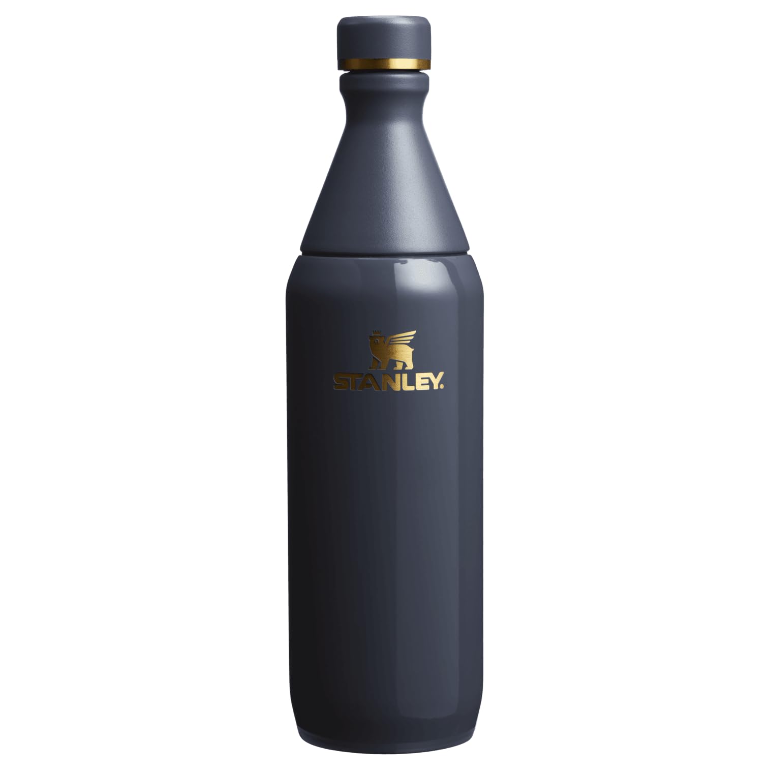 Stanley 1913 All Day Slim Vacuum Insulated Twilight 20oz Bottle, Gloss, 0.59L