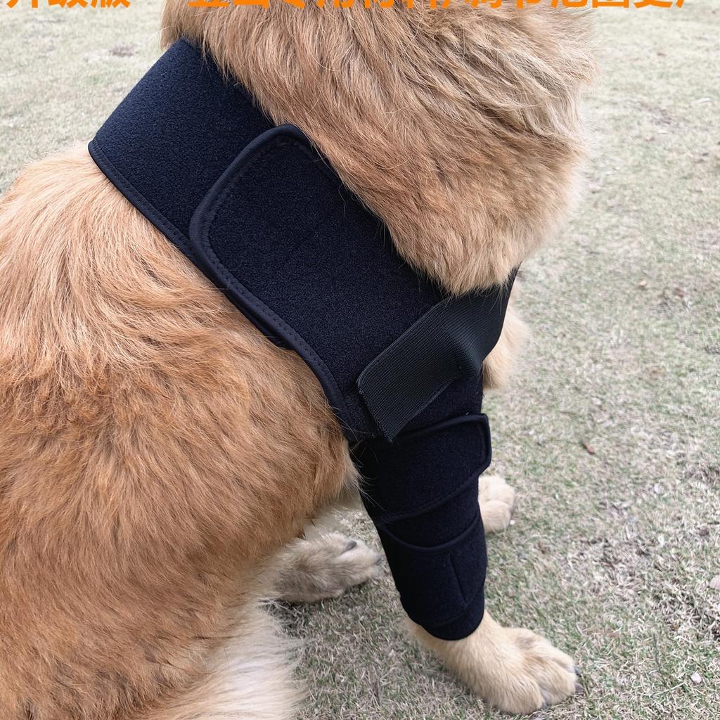 Protetor de Joelho para Cães Ajustável de Estoque Cobertura Protetora para Lesões Cirúrgicas de Animais de Estimação Joelheira de Compressão para Recuperação de Cães
