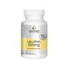Warnke Lecithin 500 Mg 100 Capsules
