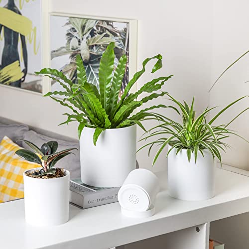 T4U Plastic Planter Set of 4 with Saucers, 10/12.5/15/17.5cm, Multiple Drainage Holes, Round, Modern Design, Suitable for Indoor and Outdoor Plants, H