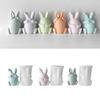 Face-less Rabbit Candle Mold Diy Cover Your Eyes Mouth and Ears Rabbit Aromatherapy Candle Gypsum Incense Stone Mold