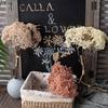 6 Bundles Artificial Aglaia Odorata Branch Realistic Fake Fruits Berries Stem for Home Office Indoor Flower Arrangement Wedding Party Centerpiece