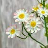 30 Heads of Chamomile Artifiical Flower Branch 50cm Height Flexible Stems Simulation Flower with Green Leaves Wedding Bouquet