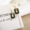 Black Silver Asymmetrical Geometric Dangle Earrings