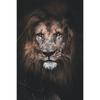 Black White Animals Art Lions Oil Painting Canvas Art Posters and Prints Wall Pictures for Living Room Home Wall Decor