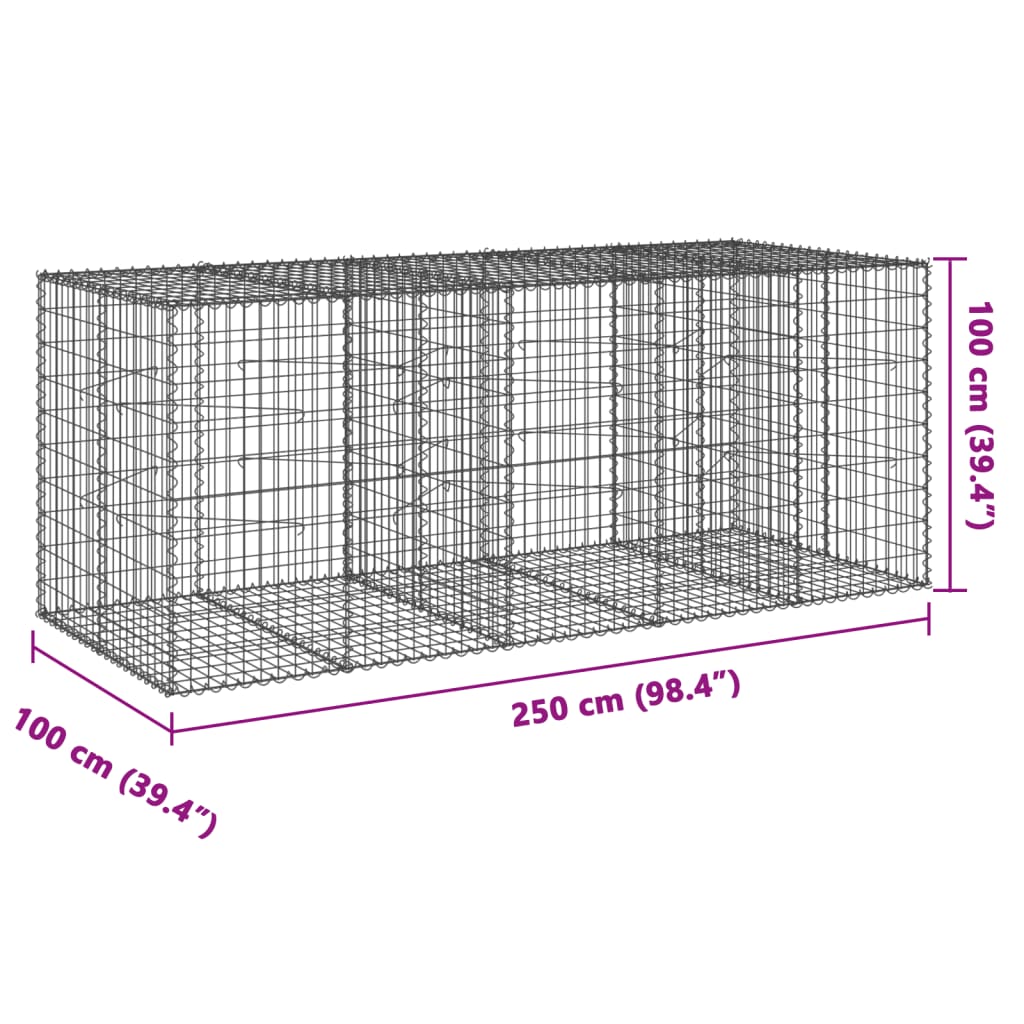 Gabion with Lid 250x100x100 cm Galvanized Iron