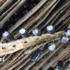ELNA 50V 68uF Original Japan Electrolytic Capacitor