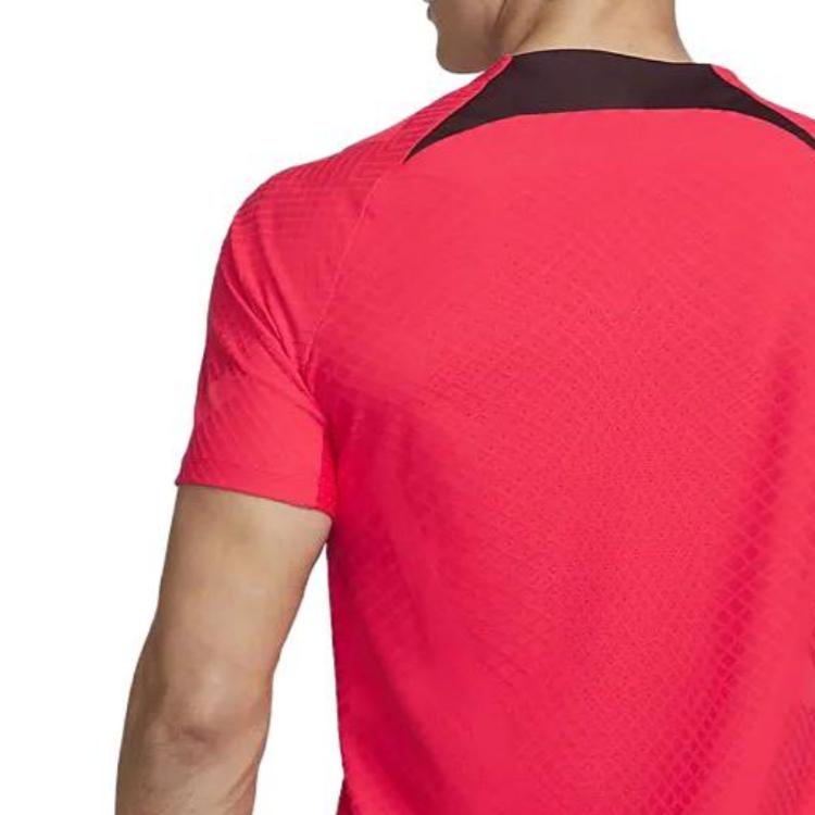 Nike Liverpool Fc Strike Elite 2022/23 T Shirt DM8431-661