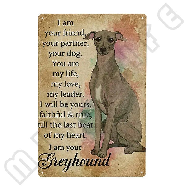 Windhund Metallschild Ich bin dein Freund Ich bin dein Windhund Poster Badezimmerzimmer Küche Garage Zuhause Kunst Wanddekoration