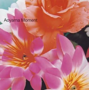 CD VARIOUS - Aoyama Moment VICL69099PROMO AOSIS 2003 Japan ObiJapanese Pop/Rock Used